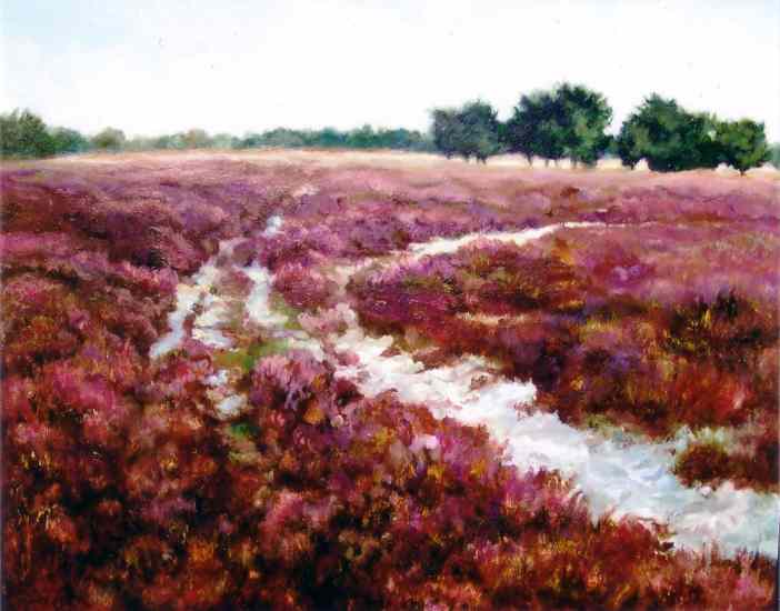 Heideveld 2004