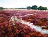 Heideveld 2004