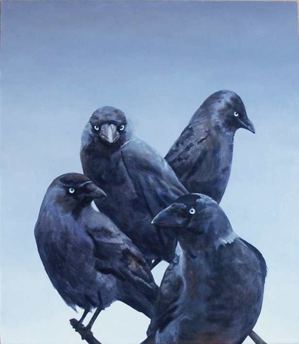 kauwen