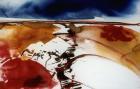 Landschap